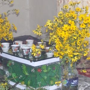 Meet your Posher, Kathy